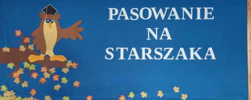 PASOWANIE NA STARSZAKA W GRUPIE KOTKI