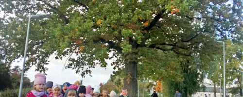 DZIEŃ DRZEWA - GRUPA BIEDRONKI