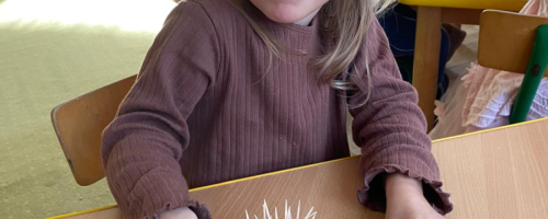 JEŻYK - ZAJECIA PLASTYCZNO - TECHNICZNE W GRUPIE MISIE